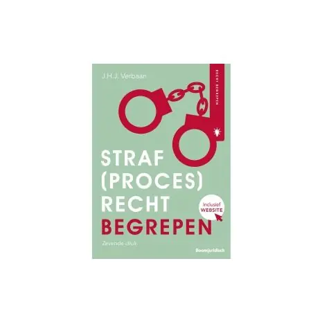 Direct Beschikbaar Straf (proces)recht begrepen