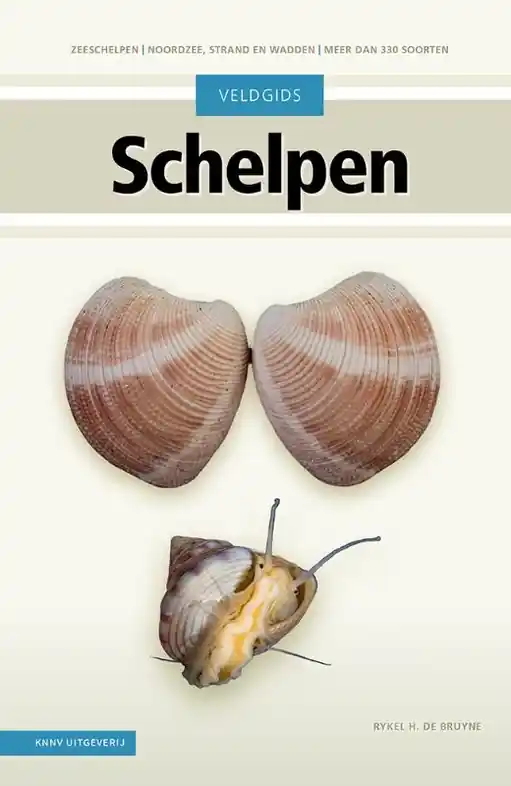 Natuurgids Schelpen | KNNV Uitgeverij (9789050119023) Betaalbaar