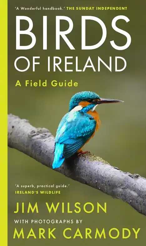 Vogelgids Birds of Ireland - Ierland | Gill Books (9781804580721) Beperkt Aanbod