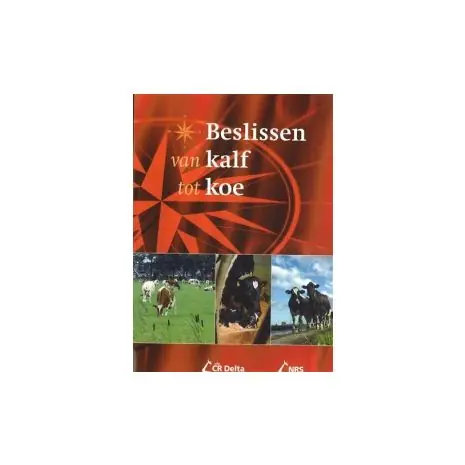 Beslissen van kalf tot koe Speciale Aanbieding