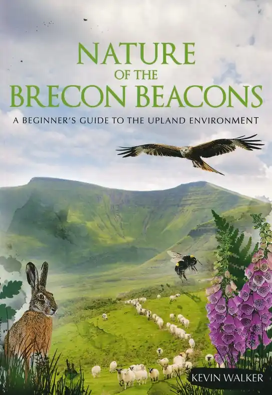 Koopje Natuurgids Nature of the Brecon Beacons | Pesda Press (9781906095659)