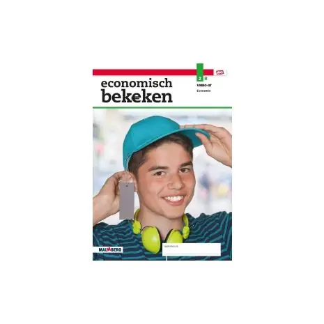Economisch bekeken - MAX - : 2 vmbo-gt AB : Leerwerkboek Laatste Versie