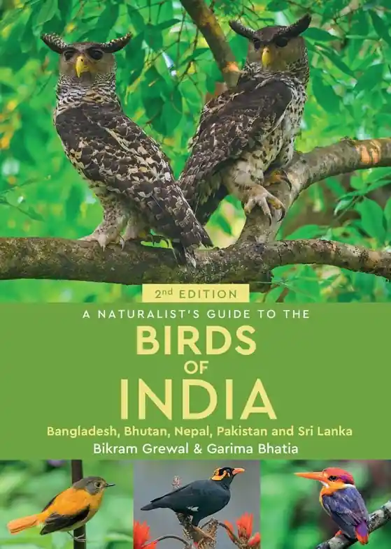 Vogelgids a Naturalist's guide to the Birds of India | John Beaufoy (9781913679347) Superprijs