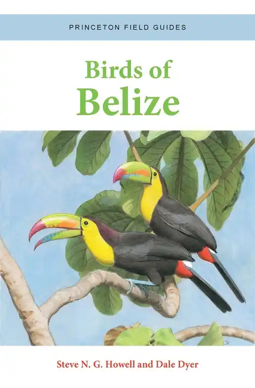 Direct Beschikbaar Vogelgids Birds of Belize | Princeton University Press (9780691220727)
