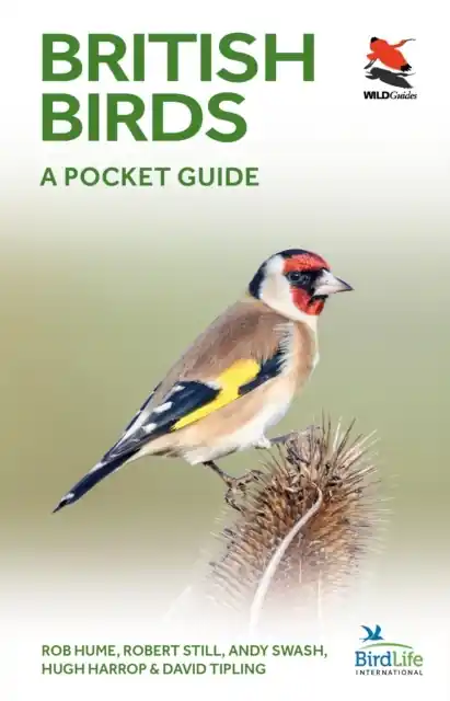Vogelgids British Birds | Princeton University Press (9780691181677) Alleen Vandaag