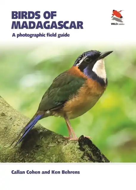 Vogelgids Birds of Madagascar | Princeton University Press (9780691170671) Lage Kosten