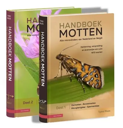 Fabrieksprijs Natuurgids Handboek Motten van Nederland en België | KNNV Uitgeverij (9789050119801)
