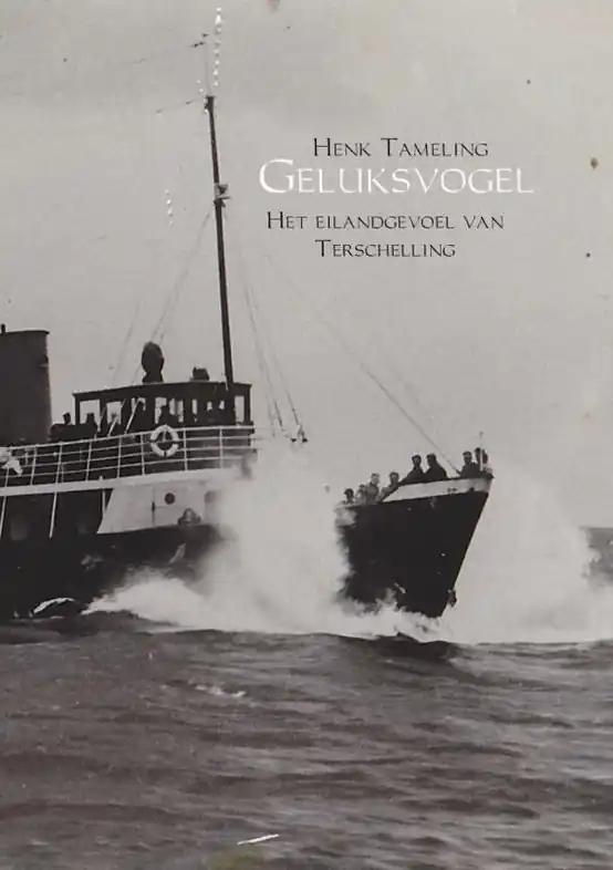 Gereduceerde Prijs Reisverhaal Geluksvogel | Henk Tameling (9789402128260)