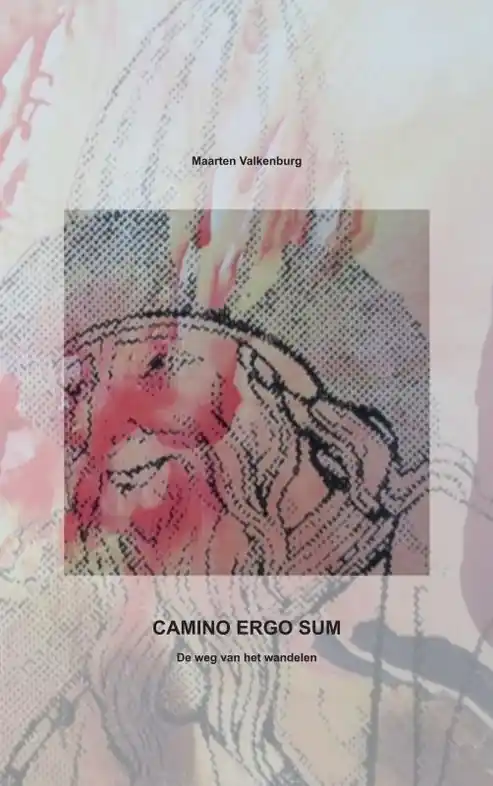 Wandelgids CAMINO ERGO SUM | Brave New Books (9789464183047) Shop Nu