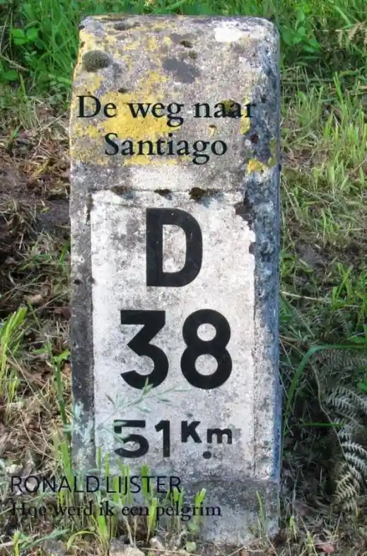 Bestseller Reisverhaal De weg naar Santiago | Ronald Lijster (9789403641973)