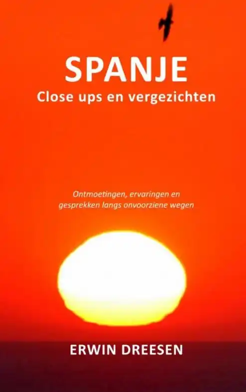 Reisverhaal Spanje, close ups en vergezichten | Erwin Dreesen (9789464182729) Beperkt Aanbod