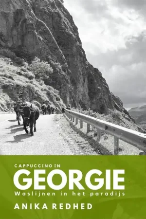 Weekendaanbieding Reisverhaal Cappuccino in Georgië | Anika Redhed (9789493263437)