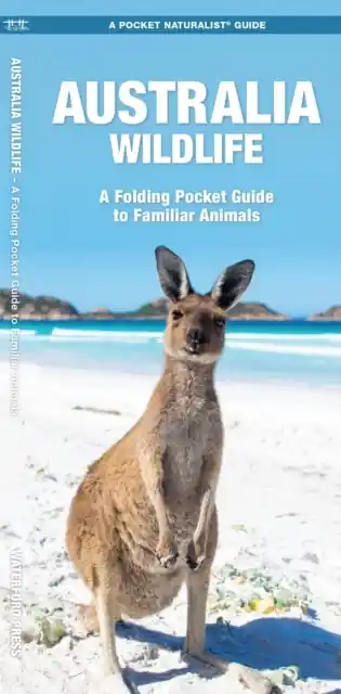 Vogelgids - Natuurgids Australian Wildlife (Australië) | Waterford Press (9781583550359) Betaalbaar