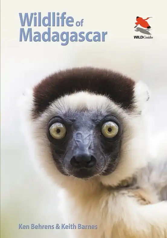 Alleen Vandaag Natuurgids Wildlife of Madagascar | Princeton University Press (9780691161716)