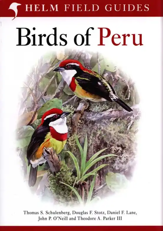 Vogelgids Peru - Birds of Peru | Bloomsbury (9780713686739) Direct Beschikbaar