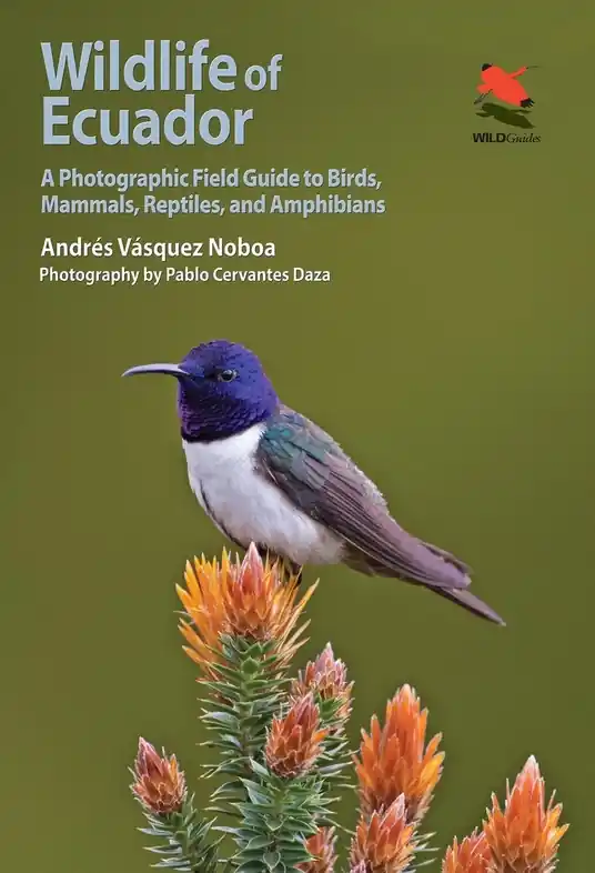 Natuurgids Wildlife of Ecuador | Princeton University Press (9780691161365) Must-Have