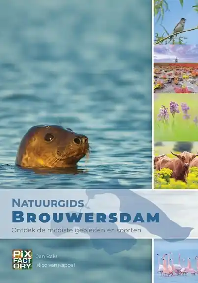 Snelle Levering Vogelgids - Natuurgids Brouwersdam | PIXFactory (9789079588534)