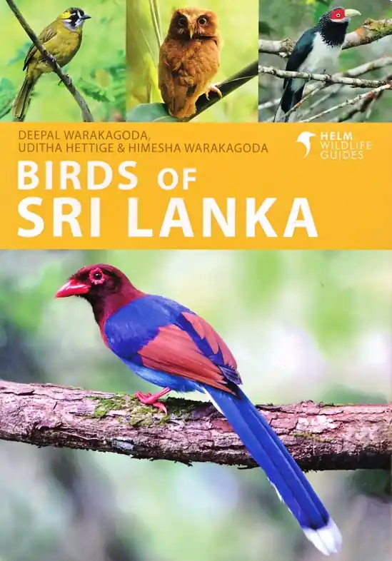 Vogelgids Birds of Sri Lanka | Helm (9781408110416) Uitverkoop