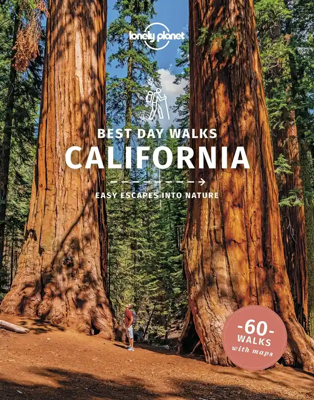 Bestel Nu Wandelgids Best Day Walks California - Californië | Lonely Planet (9781838691172)