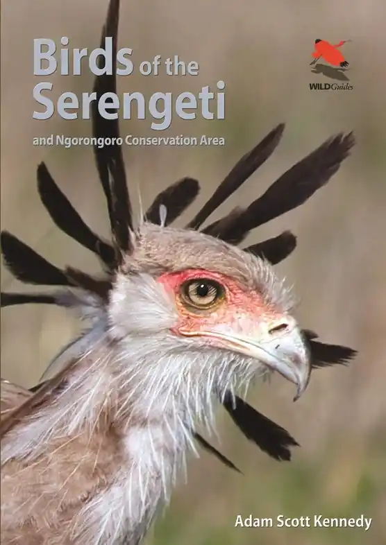 Merkproduct Vogelgids Birds of the Serengeti | Princeton University Press (9780691159102)