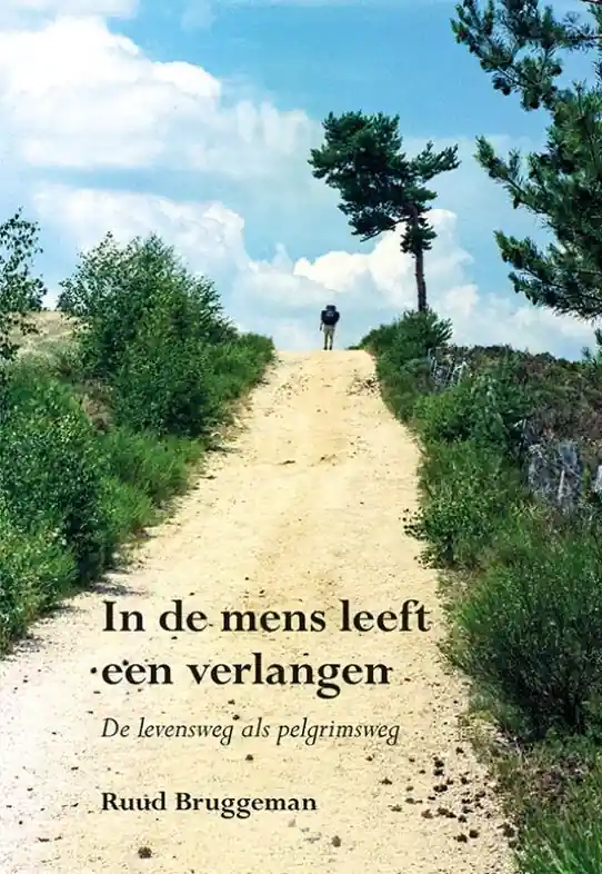 Reisverhaal In de mens leeft een verlangen | Ruud Bruggeman (9789463652797) Superprijs
