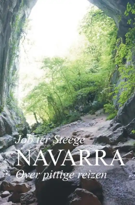 Reisverhaal NAVARRA | Job Ter Steege (9789402196665) Goedkoop