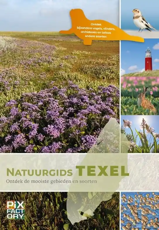 Vogelgids - Natuurgids Texel | PIXFactory (9789079588503) Gereduceerde Prijs