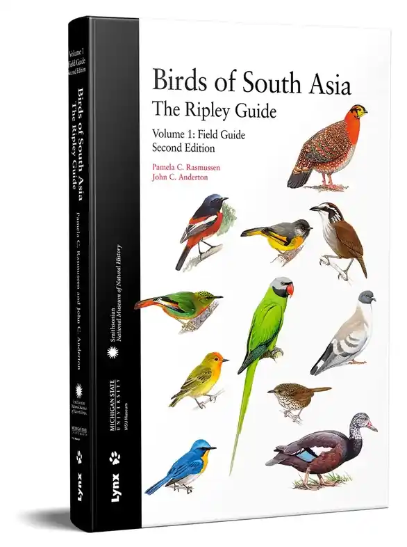 Finale Uitverkoop Vogelgids Birds of South Asia - the Ripley guide | Lynx (9788496553866)