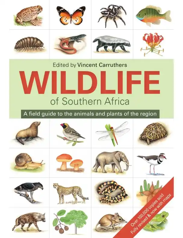 Natuurgids The wildlife of southern Africa | Struik Nature (9781775843535) Bestel Nu
