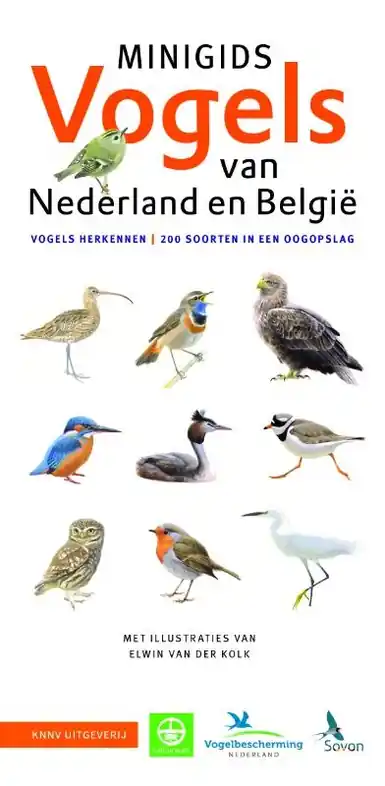 Natuurgids - Vogelgids Minigids Vogels van Nederland en België | KNNV Uitgeverij (9789050116985) Favoriet