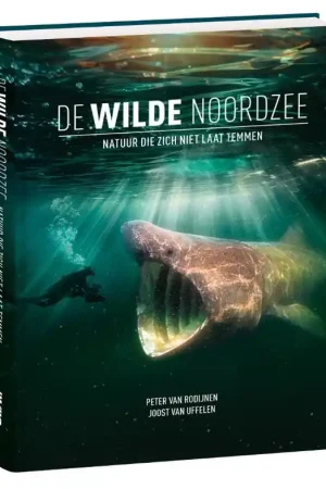 Actieprijs Fotoboek De Wilde Noordzee | Dutch Maritime Productions B.V. (9789090388564)