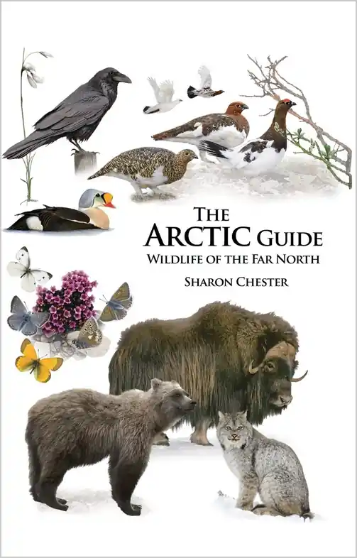 Natuurgids - Reisgids The Arctic Guide: Wildlife of the Far North | Princeton University Press (9780691139753) Merkproduct
