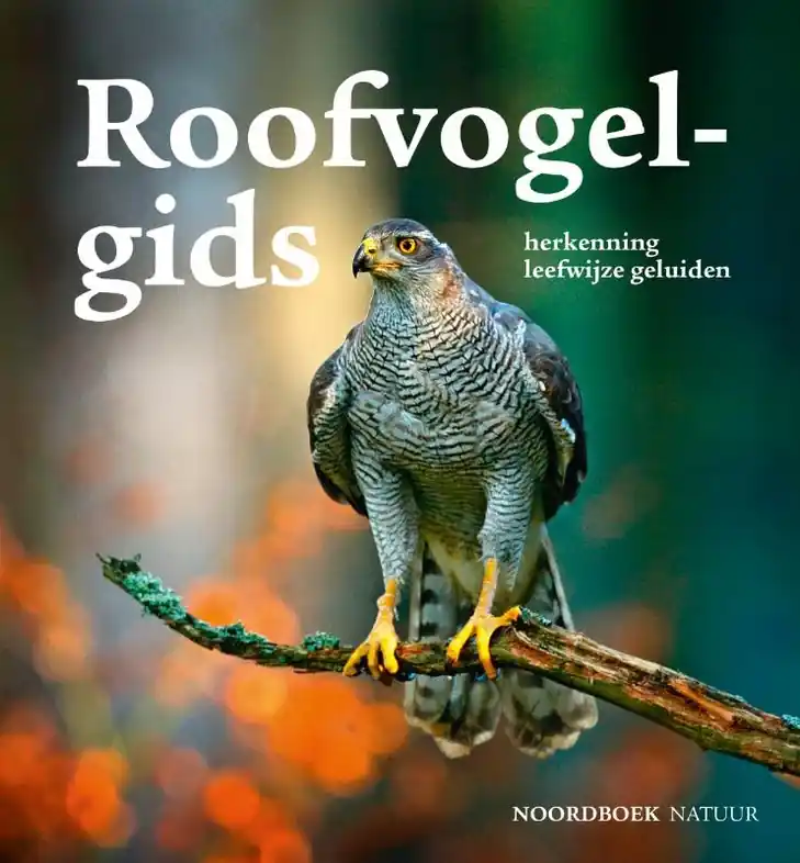 Vogelgids - Natuurgids Roofvogelgids | Uitgeverij Noordboek (9789056155483) Betrouwbaar