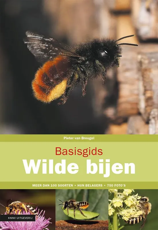 Gratis Verzending Basisgids wilde bijen / Druk 5 (Heruitgave)