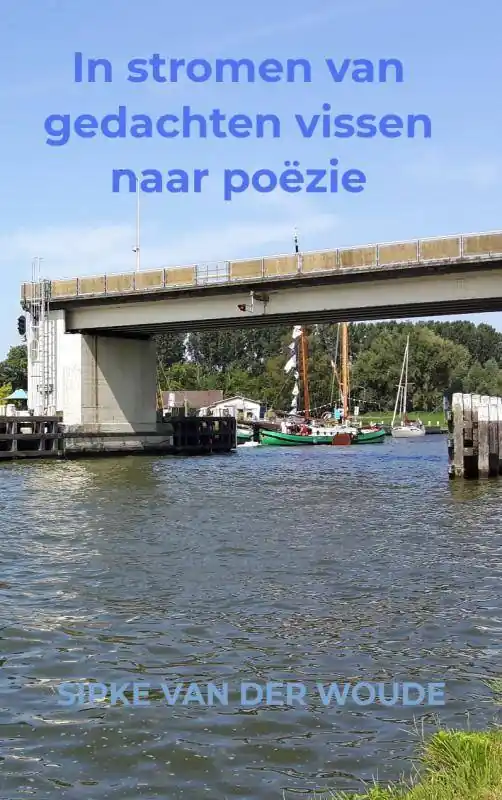 Beste Prijs In stromen van gedachten vissen naar poëzie / Druk 1