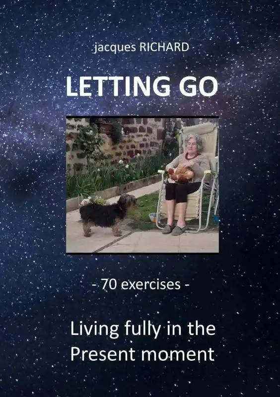 Direct Beschikbaar LETTING GO / 1st Edition