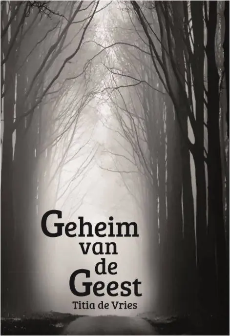 Geheim van de geest / Druk 1 Premium