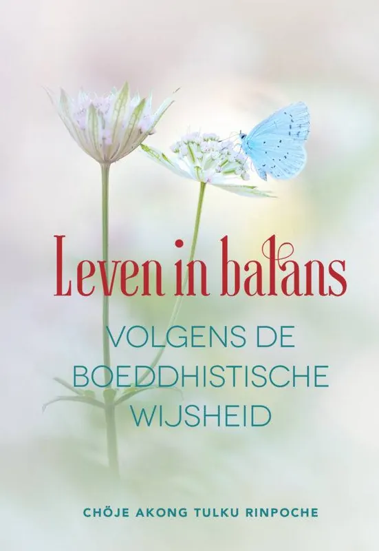 Leven in balans volgens de boeddhistische wijsheid / Druk 1 Direct Beschikbaar