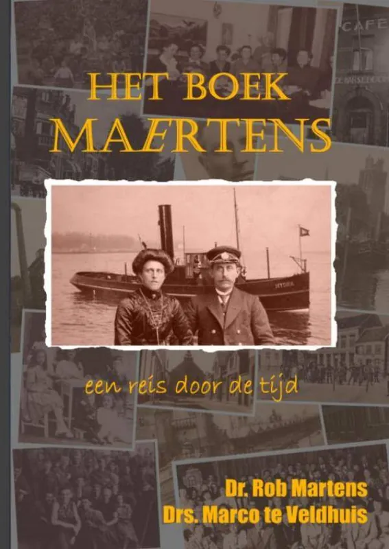Het boek Maertens / Druk 1 Express Levering
