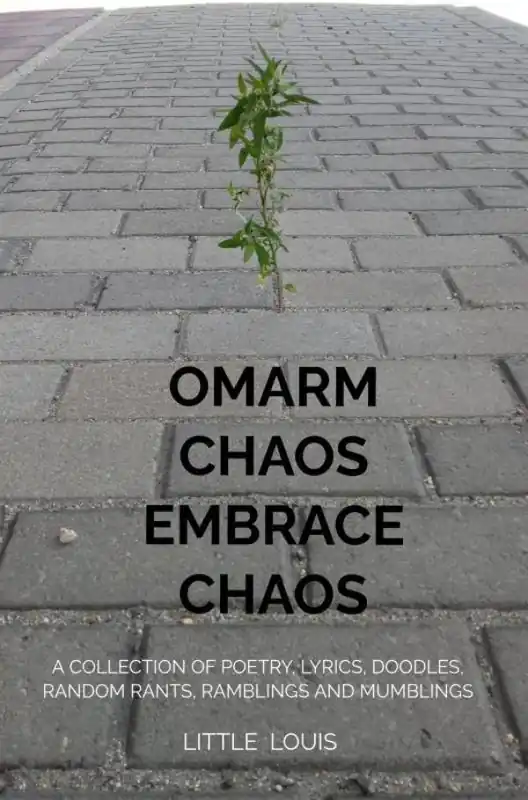 Omarm Chaos - Embrace Chaos / Druk 1 Voordeelprijs