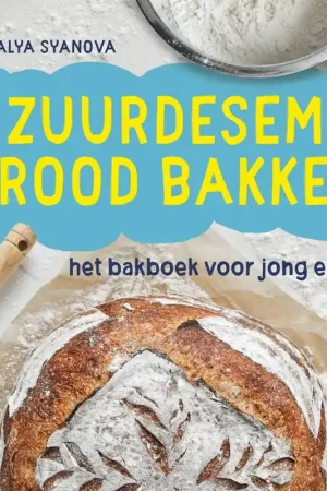 Zuurdesembrood bakken / Druk 1 Rechtstreeks Van De Fabrikant
