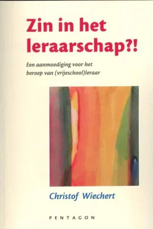 Zin in het leraarschap?! / Druk 1 Flitsaanbieding