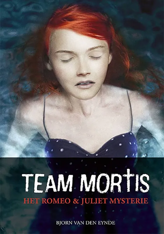 Flitsaanbieding Het Romeo & Juliet mystery / Druk 1
