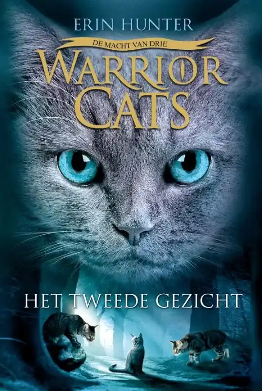 Must-Have Het tweede gezicht