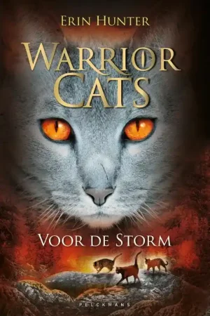 Voor de storm Beste Prijs