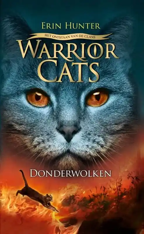 Donderwolken Goedkoop