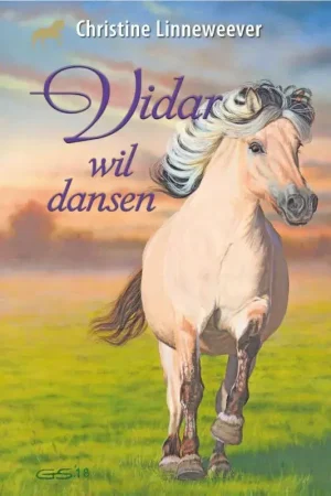 Vidar wil dansen Weekendaanbieding