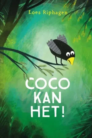 Veilige Betaling Coco kan het!
