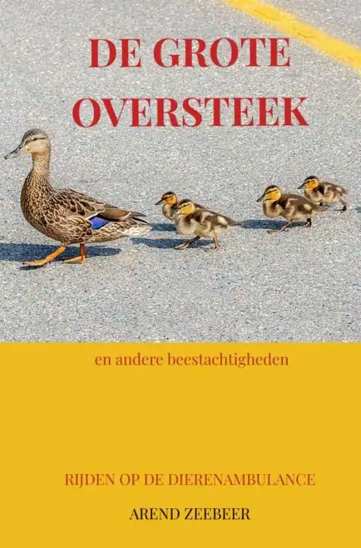 Alleen Vandaag De Grote Oversteek / Druk 1