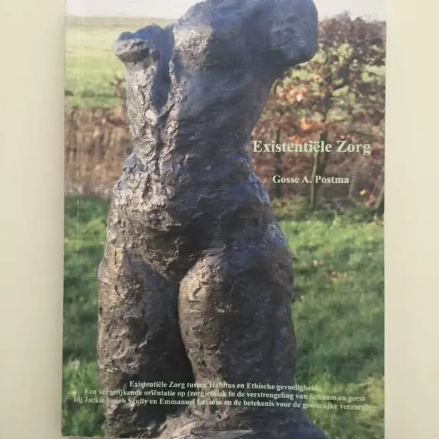 Betrouwbaar Existentiële zorg / Druk 1